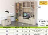 פינת עבודה עם ספריה גדולה רא