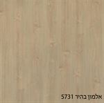 אלמון בהיר 5731