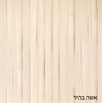 אשה בהיר 2014