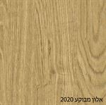 אלון מבוקע 2020