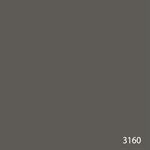 3160