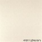 ג&#39;ינס מולבן 41011